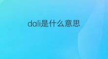 dali是什么意思 dali的中文翻译、读音、例句