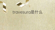 travesura是什么意思 travesura的中文翻译、读音、例句