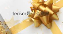leasor是什么意思 leasor的中文翻译、读音、例句