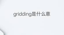 gridding是什么意思 gridding的中文翻译、读音、例句