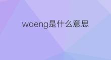 waeng是什么意思 waeng的中文翻译、读音、例句