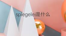 spiegelei是什么意思 spiegelei的中文翻译、读音、例句