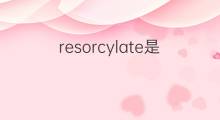 resorcylate是什么意思 resorcylate的中文翻译、读音、例句