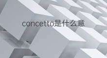 concetto是什么意思 concetto的中文翻译、读音、例句