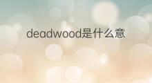 deadwood是什么意思 deadwood的中文翻译、读音、例句