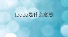 todea是什么意思 todea的中文翻译、读音、例句