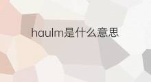 haulm是什么意思 haulm的中文翻译、读音、例句