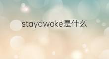 stayawake是什么意思 stayawake的中文翻译、读音、例句