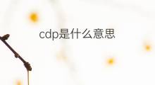 cdp是什么意思 cdp的中文翻译、读音、例句
