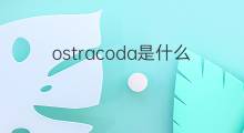 ostracoda是什么意思 ostracoda的中文翻译、读音、例句