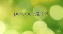 pancracio是什么意思 pancracio的中文翻译、读音、例句