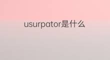 usurpator是什么意思 usurpator的中文翻译、读音、例句