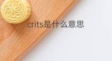 crits是什么意思 crits的中文翻译、读音、例句