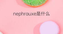 nephrauxe是什么意思 nephrauxe的中文翻译、读音、例句