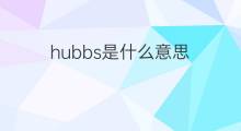 hubbs是什么意思 英文名hubbs的翻译、发音、来源