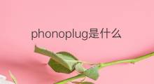 phonoplug是什么意思 phonoplug的中文翻译、读音、例句