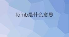 famb是什么意思 famb的中文翻译、读音、例句