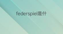 federspiel是什么意思 federspiel的中文翻译、读音、例句