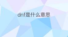 dnf是什么意思 dnf的中文翻译、读音、例句