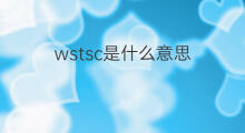 wstsc是什么意思 wstsc的中文翻译、读音、例句
