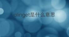 alinget是什么意思 alinget的中文翻译、读音、例句