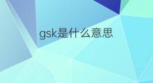 gsk是什么意思 gsk的中文翻译、读音、例句