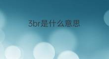 3br是什么意思 3br的中文翻译、读音、例句
