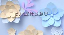 duft是什么意思 duft的中文翻译、读音、例句