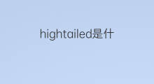 hightailed是什么意思 hightailed的中文翻译、读音、例句