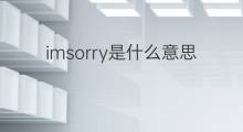 imsorry是什么意思 imsorry的中文翻译、读音、例句