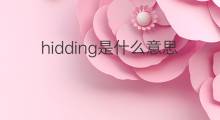 hidding是什么意思 hidding的中文翻译、读音、例句
