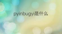 pyinbugyi是什么意思 pyinbugyi的中文翻译、读音、例句