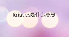 knaves是什么意思 knaves的中文翻译、读音、例句