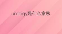 urology是什么意思 urology的中文翻译、读音、例句