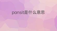 pansit是什么意思 pansit的中文翻译、读音、例句