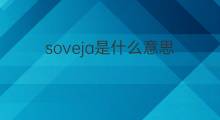 soveja是什么意思 soveja的中文翻译、读音、例句