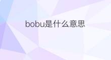 bobu是什么意思 bobu的中文翻译、读音、例句