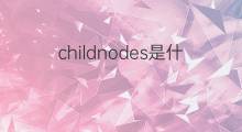 childnodes是什么意思 childnodes的中文翻译、读音、例句