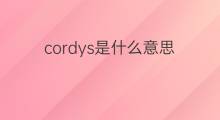 cordys是什么意思 cordys的中文翻译、读音、例句