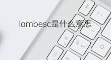 lambesc是什么意思 lambesc的中文翻译、读音、例句