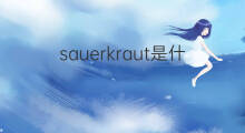sauerkraut是什么意思 sauerkraut的中文翻译、读音、例句