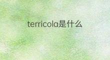 terricola是什么意思 terricola的中文翻译、读音、例句