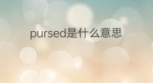 pursed是什么意思 pursed的中文翻译、读音、例句