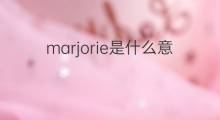 marjorie是什么意思 marjorie的中文翻译、读音、例句
