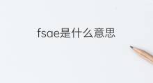 fsae是什么意思 fsae的中文翻译、读音、例句