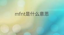 mfnt是什么意思 mfnt的中文翻译、读音、例句
