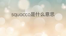 squacco是什么意思 squacco的中文翻译、读音、例句