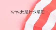 whydo是什么意思 whydo的中文翻译、读音、例句