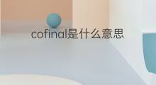 cofinal是什么意思 cofinal的中文翻译、读音、例句