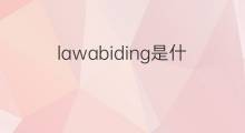 lawabiding是什么意思 lawabiding的中文翻译、读音、例句